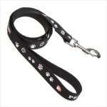 designer best nylon dog leash online