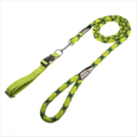 run dog leash