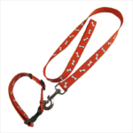 Custom unique dog leashes and collars