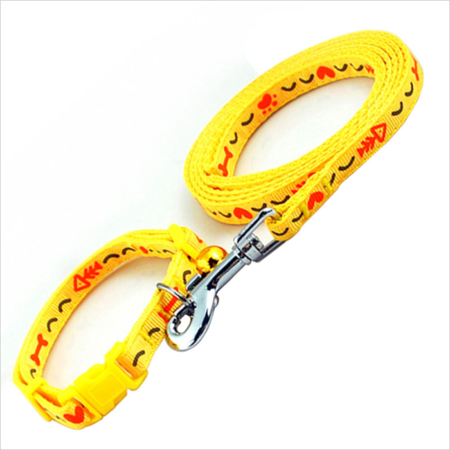 dog leash and collar set