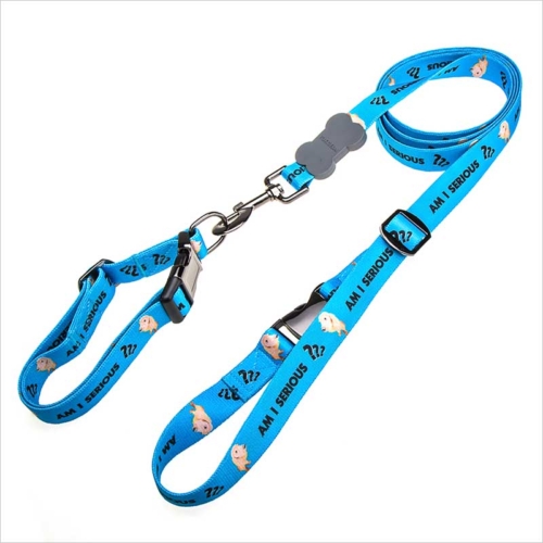 Cool dog leashes