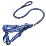 Retractable reflective dog collars and leashes