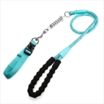 Best Training Dog Collar And Leash Set