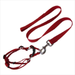 Cool Christmas Dog Collars And Leashes Supplier