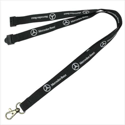 safety clip lanyard