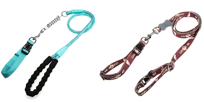 where to buy dog collars