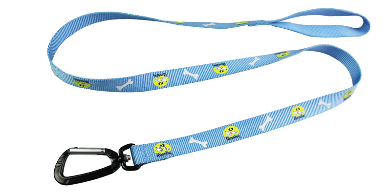 dog leash length