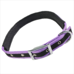 top rated walking purple dog collars for dog