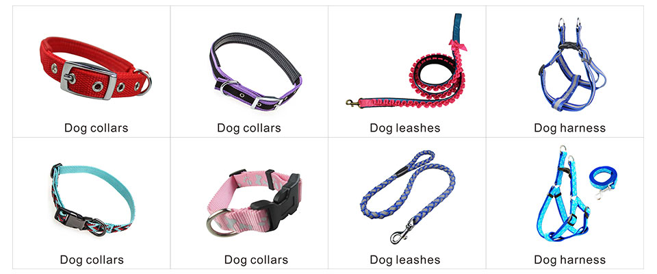 Pretty dog collars