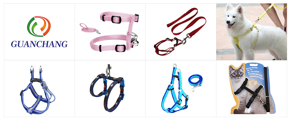 dog harness for sale