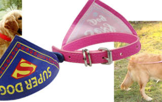 dog collar companies