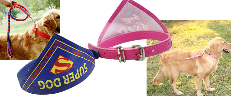 dog collar companies